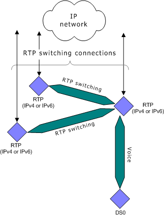 RTP forking and RTP switching